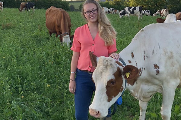 beautiful girl with eyeglasses smiling beside a cow