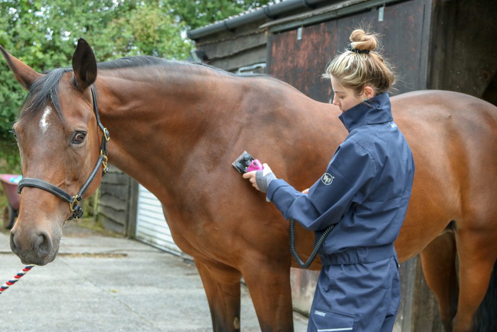 A horse being clipped by someone wearing 2to1 women’s workwear from 3 Donkeys